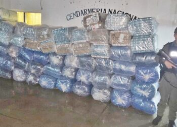 Gendarmería Nacional: secuestran 880 kilos de hojas de coca y 17.350 paquetes de cigarrillos en zona montuosa