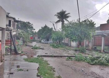 Aguas Blancas: fuertes vientos provocaron graves daños en viviendas y servicios