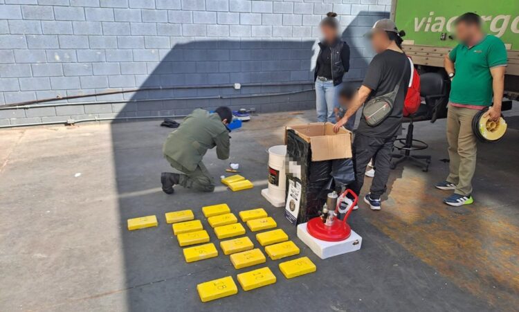 Narcotrafico: enviaban encomiendas con droga desde Tartagal