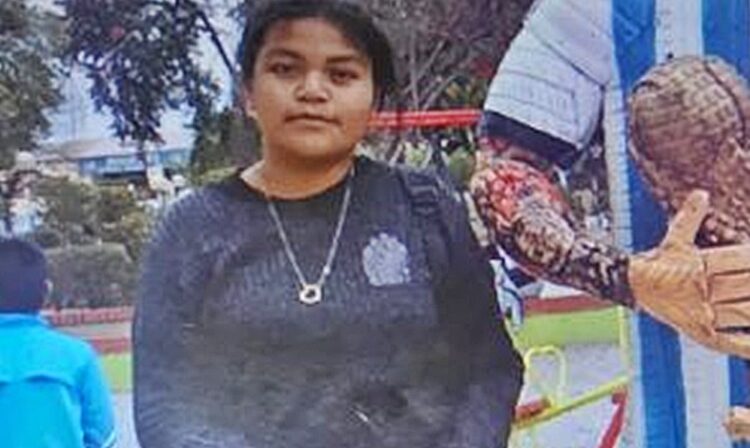 Gral. Mosconi: continúa la búsqueda de Julieta