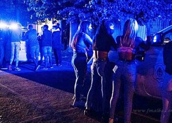 Diputados: avanza con sanciones más duras a las fiestas clandestinas