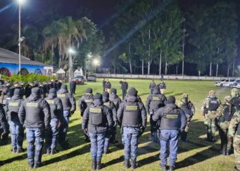 General Mosconi: cinco detenidos y un importante secuestro por robo de madera