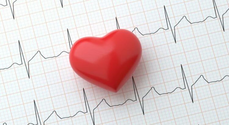 Día Mundial del Corazón: un llamado a cuidar lo más vital