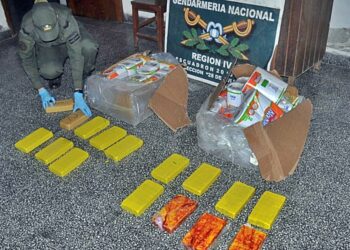 Orán: Decomisan 16 kilos de cocaína y 264 kilos de hojas de coca