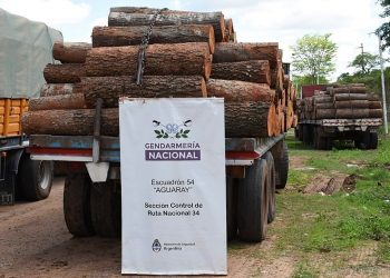 Aguaray: gendarmes interceptan carga millonaria de rollos de maderas nativas con documentación ilegal