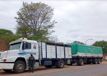 Aguaray: intentaron contrabandear 180 toneladas de granos en seis camiones