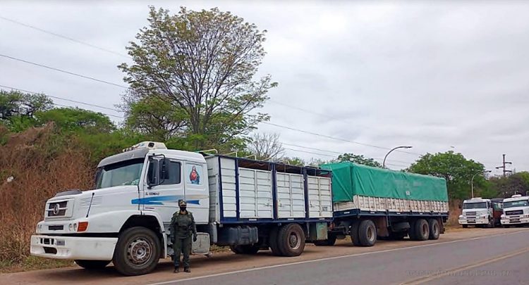 Aguaray: intentaron contrabandear 180 toneladas de granos en seis camiones