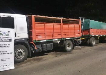 Tartagal: incautan más de 198 toneladas de granos de soja y maíz en seis camiones