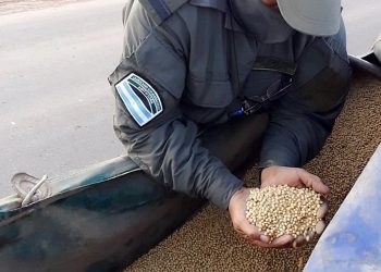Salvador Mazza: transportaban toneladas de granos de soja sin declarar