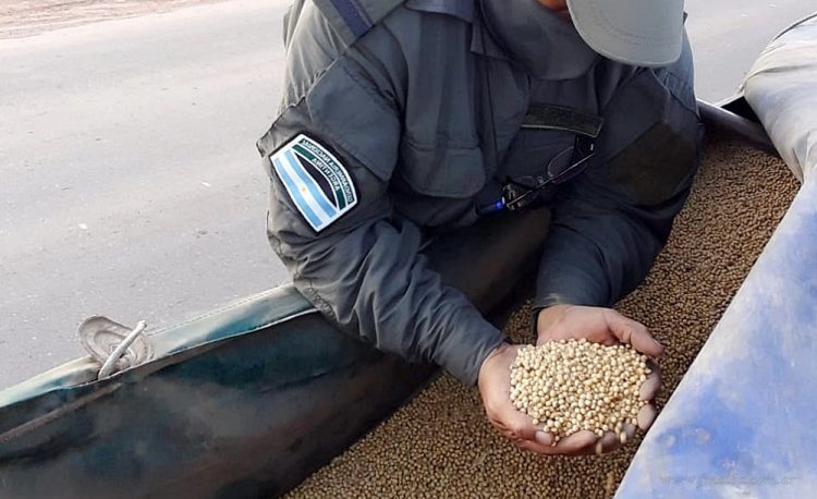 Salvador Mazza: transportaban toneladas de granos de soja sin declarar