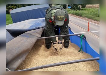 Senda Hachada: secuestran 87 toneladas de soja con destino a frontera