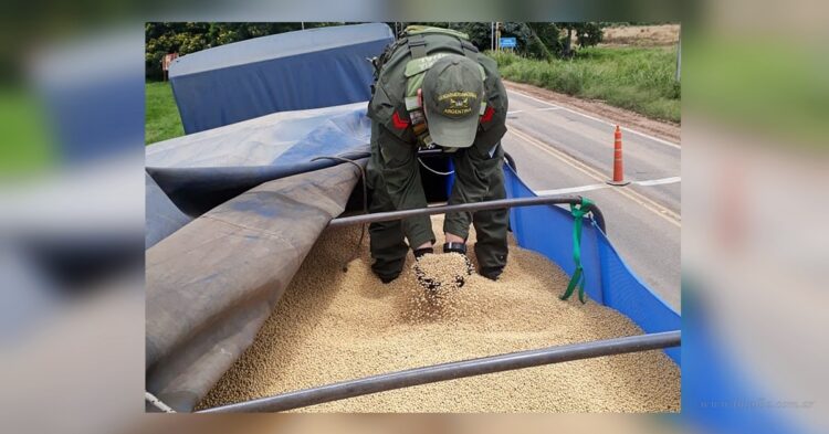 Senda Hachada: secuestran 87 toneladas de soja con destino a frontera