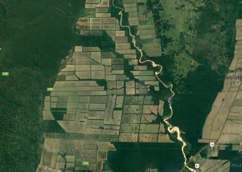 Tartagal: gendarmes detienen auto con 21 kilos de cocaína ocultos en el baúl