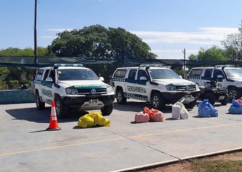 Aguaray: gendarmes incautan soja y drogas en operativos de control