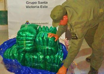 Aguaray: incautaron maíz, soja y hojas de coca en tres procedimientos