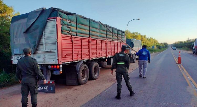Aguaray: incautaron 58 toneladas de soja con la documentación vencida