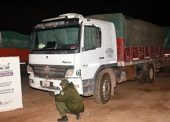 Controlan tres camiones que transportaban más de 106 toneladas de soja sin aval legal