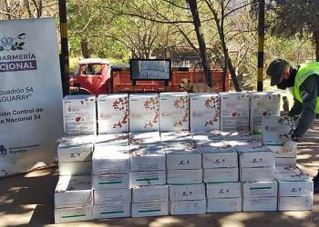 Aguaray: interceptan 30 toneladas de soja y 600 kilos de glifosato sin aval legal