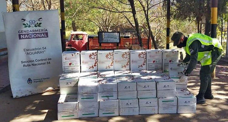 Aguaray: interceptan 30 toneladas de soja y 600 kilos de glifosato sin aval legal