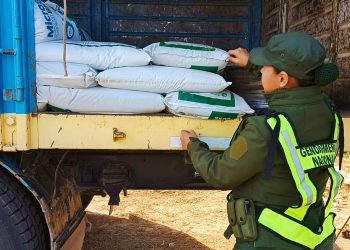 Aguaray: incautan contrabando de 70 toneladas de soja y 9 de herbicida