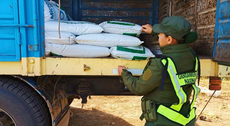 Aguaray: incautan contrabando de 70 toneladas de soja y 9 de herbicida