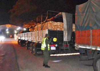 Aguaray: incautan madera, cigarrillos y hojas de coca