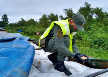Aguaray: interceptan 88 toneladas de soja en contrabando