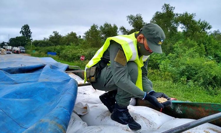 Aguaray: interceptan 88 toneladas de soja en contrabando