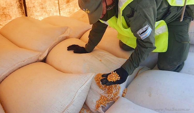 Aguaray: secuestran 62 toneladas de granos sin aval legal