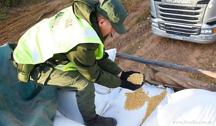 Aguaray: incautan 30 mil kilos de soja cordobesa en contrabando