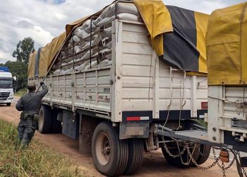 Aguaray: incautan 30 toneladas de soja sin aval legal