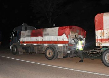 Aguaray: interceptan 120 toneladas de granos trasladados en cuatro camiones