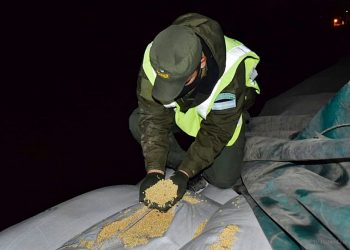 Aguaray: decomisan soja y varios miles de kilos de alfalfa sin documentación