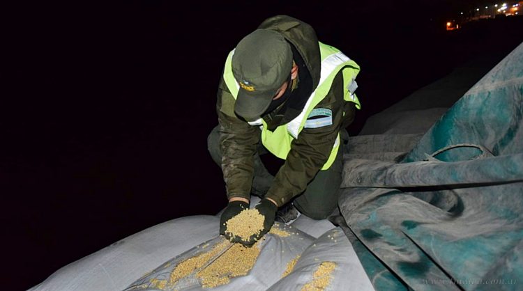 Aguaray: decomisan soja y varios miles de kilos de alfalfa sin documentación
