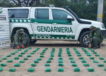 Contrabando: interceptaron más de 140 kilos de hojas de coca en distintos operativos