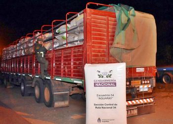 Contrabando de granos: en dos operativos decomisan 95 toneladas