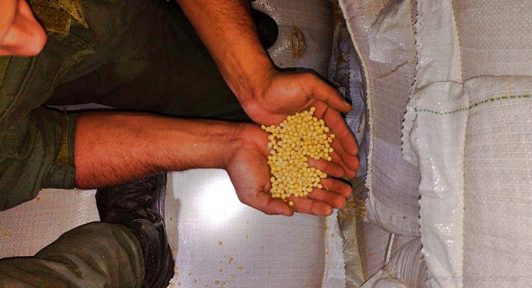 Departamentales: interceptan soja y medicamentos en contrabando