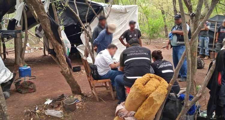 Santa Victoria Este: operativo rescata a más de 10 personas de explotación laboral en una finca