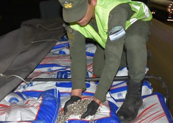 Aguaray: incautan contrabando de 805 toneladas de granos, cereales y semillas