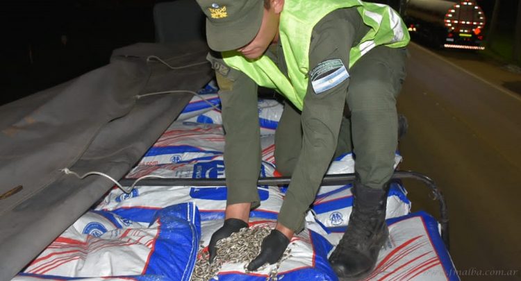 Aguaray: incautan contrabando de 805 toneladas de granos, cereales y semillas