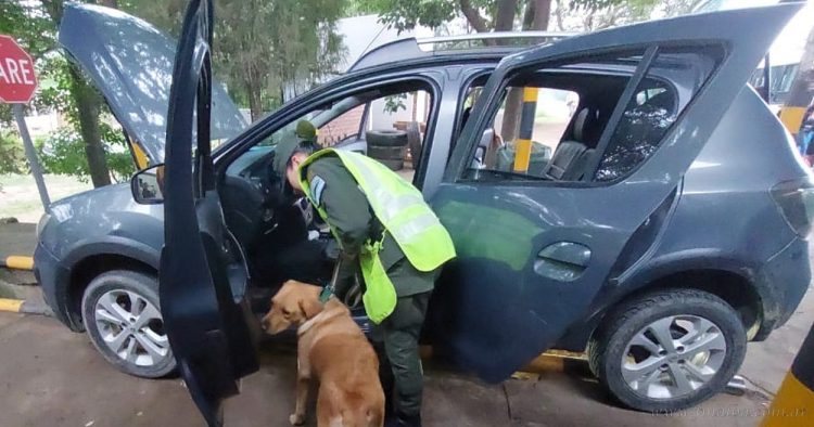 Aguaray: gendarmes incautan más de 14 kilos de drogas ocultos en un tanque de combustible
