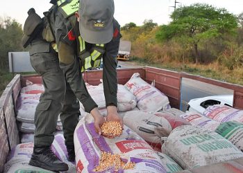 Salvador Mazza: allanamientos en dependencias de Gendarmería y Rentas Salta