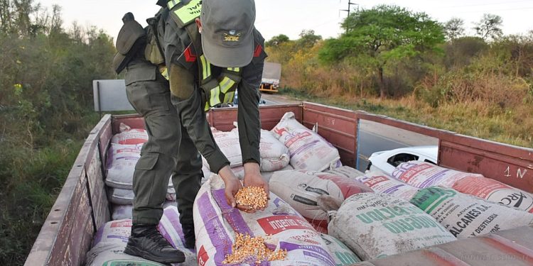 Salvador Mazza: allanamientos en dependencias de Gendarmería y Rentas Salta
