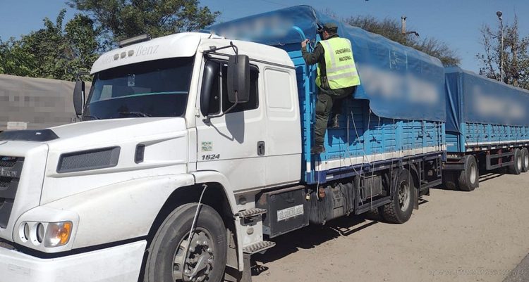 Aguaray: incautan miles de kilos de granos sin aval legal