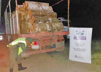 Aguaray: incautan hojas de coca, cigarrillos y troncos de madera