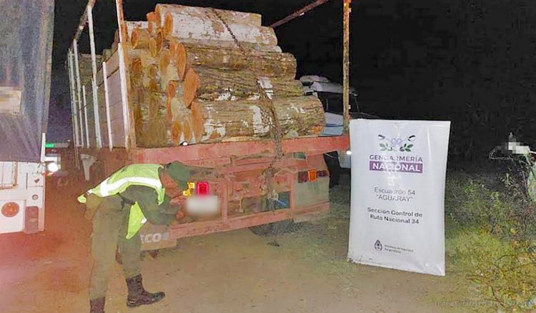 Aguaray: incautan hojas de coca, cigarrillos y troncos de madera