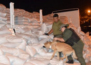 Narcotráfico: gendarmes interceptan más de 400 kilos de drogas