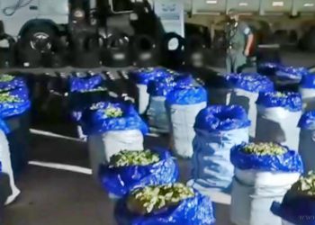 País: gendarmes descubren 680 kilos de hojas de coca y 32 cubiertas ilegales ocultas entre soja