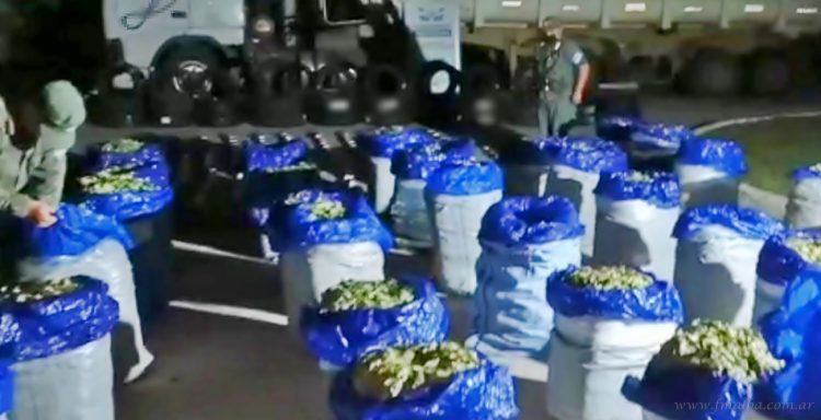 País: gendarmes descubren 680 kilos de hojas de coca y 32 cubiertas ilegales ocultas entre soja