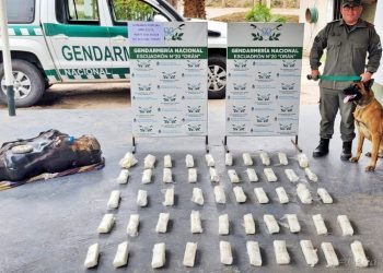 Tartagal: en control, gendarmes secuestran 28 kilos de drogas y varios miles de pesos